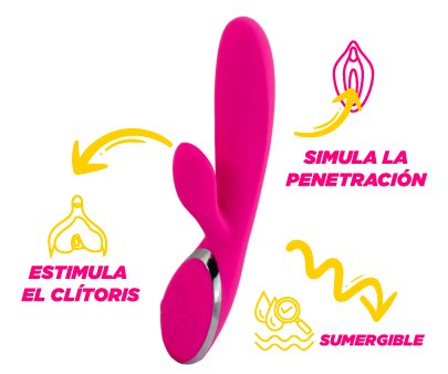 Infografía sobre las características del conejo vibrador Gloria